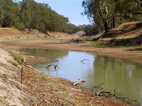 Australia’s Waterkeepers on Drought, Fish Kills, and the Murray-Darling ...