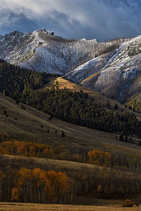 How to Photograph Wildlife in Yellowstone National Park