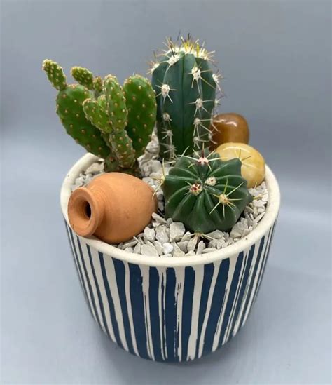 20 Ideas for Cactus Arrangement for Your Summer Decoration - Talkdecor