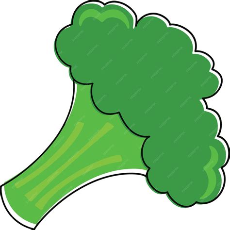 Premium Vector Broccoli Illustration Broccoli Cartoon Style Flat