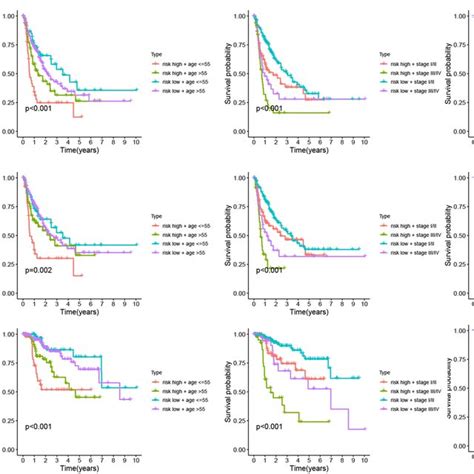 The Prognosis Of Hcc Patients With Highlow Risk Score Hcc