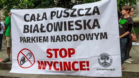 Ke Kieruje Przeciwko Polsce Spraw Do Trybuna U Ws Wycinki W Puszczy