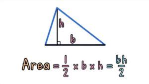 Area of a Triangle Formula: Definition, Formulas and Examples