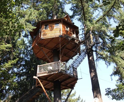 Stay A Night At Out N About Treesort In Oregon