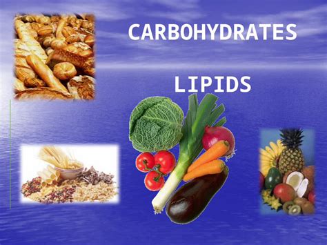 Pptx Carbohydrate Lipids Dokumen Tips