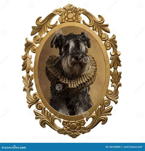 Cap Tulo De Un Perro En El Estilo Del Renacimiento Stock De Ilustraci N