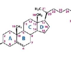 Lipid Structures For Bmol Final Exam Flashcards Quizlet