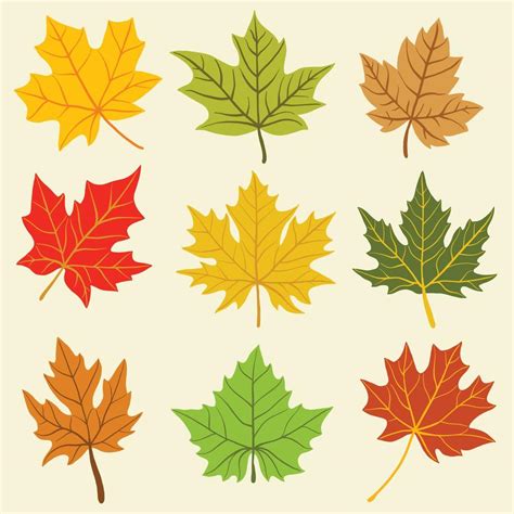 Collection of simplicity maple leaf freehand drawing flat design ...