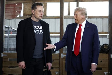 Elon Musk Joins Trump S First Post Election Call With Zelensky Newsweek