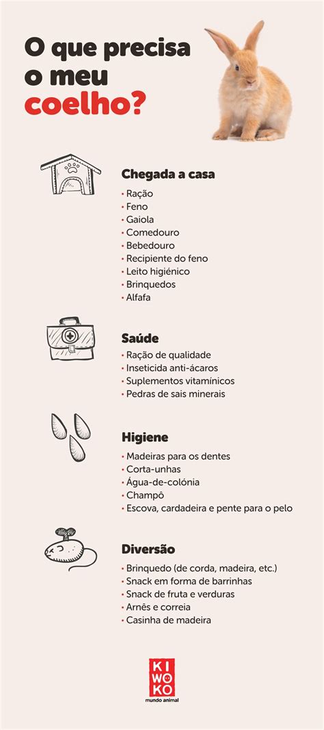 Como Cuidar De Um Coelho Em Casa Blog Kiwoko