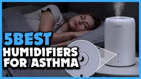 Top 5 Best Humidifiers For Asthma Review 2022 Youtube