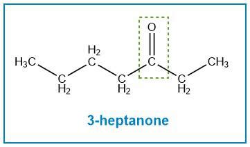 Draw The Structure Of A Constitutional Isomer Of 2 Heptanone Quizlet