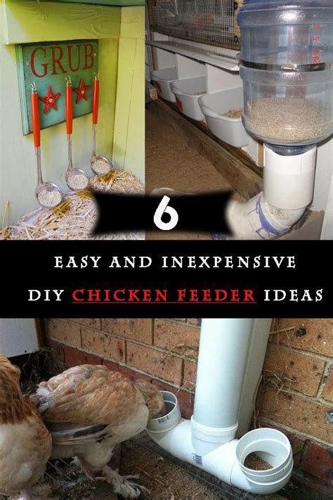 6 Easy And Inexpensive Diy Chicken Feeder Ideas In 2020 Chicken Feeder Diy Chicken Feeders