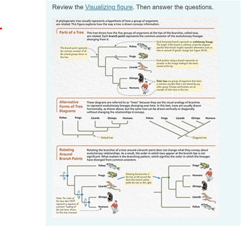 Solved Review The Visualizing Figure Then Answer The