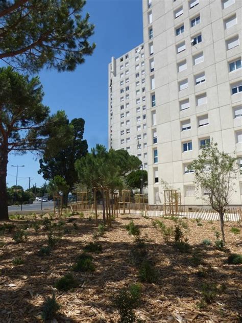 Le Sésame Toulon Habitat Méditerranée