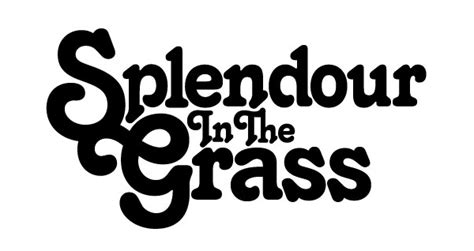 Splendour In The Grass Offers Vip Gold Passes Noise