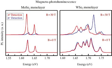 Optical Properties Of Atomically Thin Transition Metal Dichalcogenides