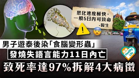 致命病毒︳男子遊泰後染「食腦變形蟲」 發燒失語言能力11日內亡 致死率達97拆解4大病徵 晴報 健康 其他疾病 D221228