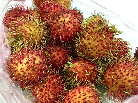 Rambutan Vietnamese Hairy Tropical Fruit Chôm Chôm