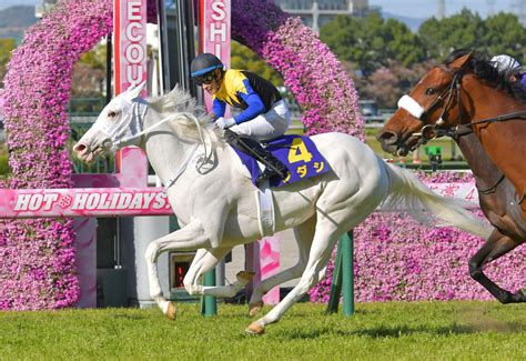 ソダシ牝馬2冠へ！オークス参戦決定 鞍上は引き続き吉田隼 競馬ニュース Netkeiba