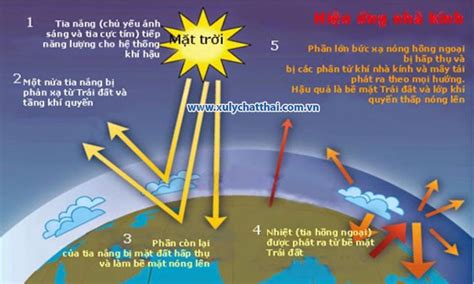 Hiệu ứng Nhà Kính Là Gì Nguyên Nhân Gây Hiệu ứng Nhà Kính