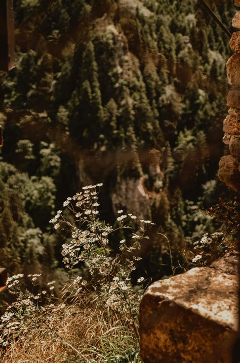 cloud scape      cloud scape stock