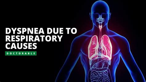 Dyspnea Due To Respiratory Causes An Overview Doctorable