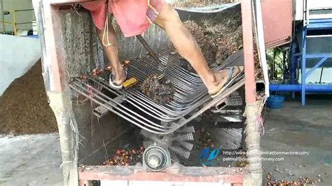 Palm Oil Machine Palm Fruit Threshing Machine Youtube