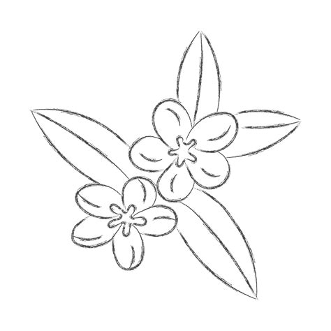 Premium Vector | Vector pencil drawing of a flower with leaves isolated on a white background ...