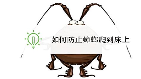 厨房蟑螂怎么消灭干净 百度经验