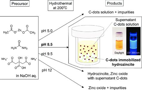 Schematic Of The Products Through The Hydrothermal Synthesis Depending Download Scientific