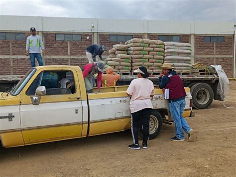 Entregan Bultos De Cemento A Familias Sombreretenses NTR Zacatecas