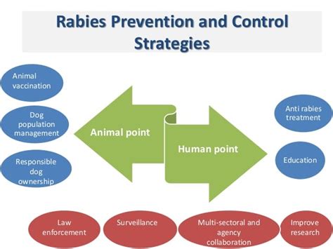 Rabies Prevention Behind The Scenes World Rabies Day Cdc 60 Off