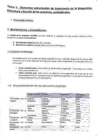 Tema Elementos Estructurales De Imp En Bioquimica Pdf