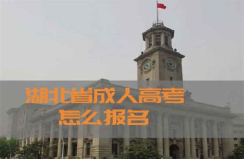 2022年湖北省成人高考可以报什么专业？怎么报名？ 知乎