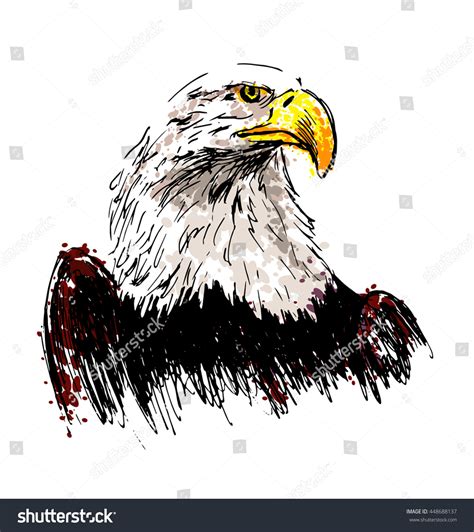 Colored Hand Drawing Eagle Vector Illustration Stock Vector (Royalty ...