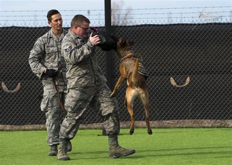 Mountain Home Air Force Base opens new military working dog obedience