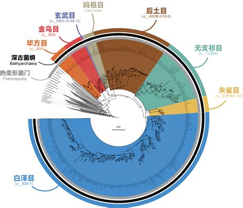 上海交大深部生命国际研究中心团队在science Advances发文揭示深古菌与早期地球协同演化历史 科研动态 上海交通大学生命科学技术学院