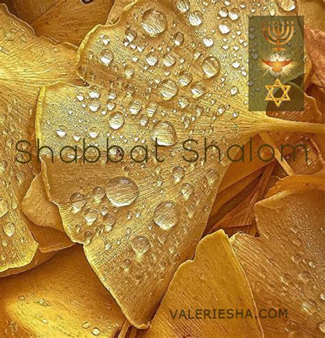 Shabbat Shalom 26 Novembre 2021 Michelle Dastier De La Vigerie