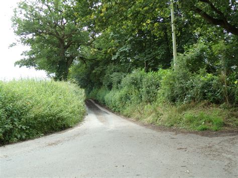 Lose House Lane Great Henny © Geographer Geograph Britain And Ireland