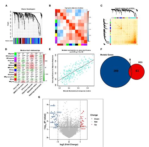 Figure 1 From A Novel Immune Related Model To Predict Prognosis And