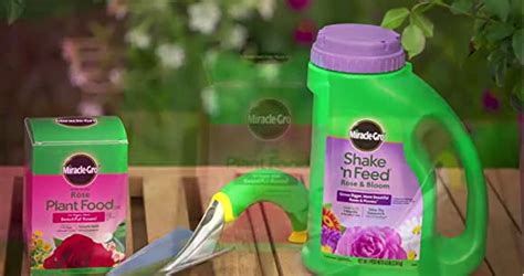 Amazon Miracle Gro Kg Shake N Feed Ultra Bloom Plant