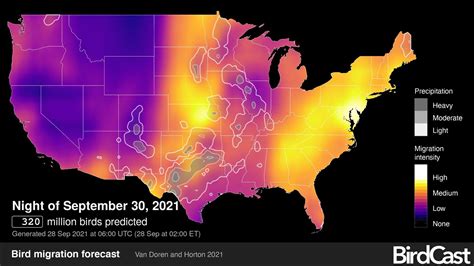 Fall migration maps reveal where birds are flying over North America - Vox