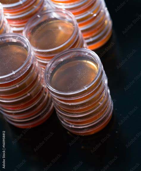 Pile Petri Dish For Growing Cultures Of Microorganisms In Doctor Hand