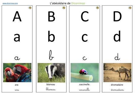 Cartes Nomenclature Animaux Diconimoz