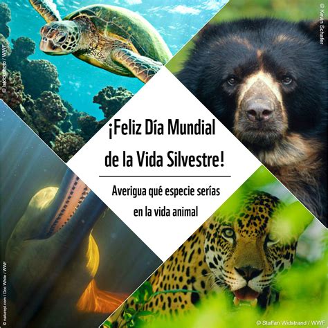 Día Mundial De La Vida Silvestre