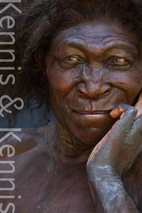 Overview Kennisandkennis Reconstructions Ancient Humans Ancient