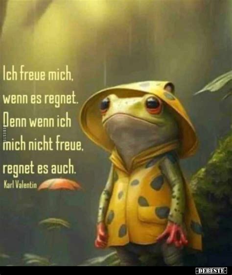 Ich Freue Mich Wenn Es Regnet Denn Wenn Ich Mich Nicht Freue Regnet