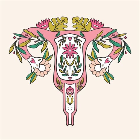 Premium Vector Female Reproductive System With Flowers