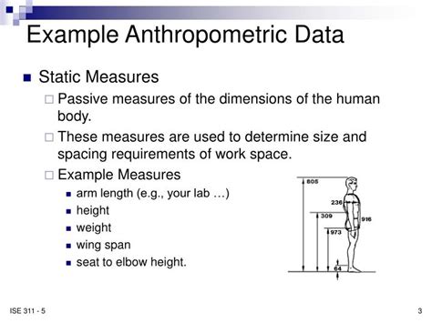 PPT - Anthropometry PowerPoint Presentation - ID:1194249